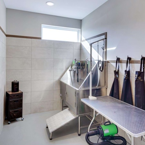 Pet grooming station at The Jeff on 10th, pet friendly apartments in Jeffersonville, IN